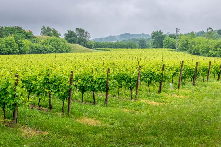 Tag 26 - Alpenüberquerung zu Fuß - München nach Venedig - Von Arfanta nach Spresiano 18 Tag 26 - Alpenüberquerung zu Fuß - München nach Venedig - Von Arfanta nach Spresiano 18