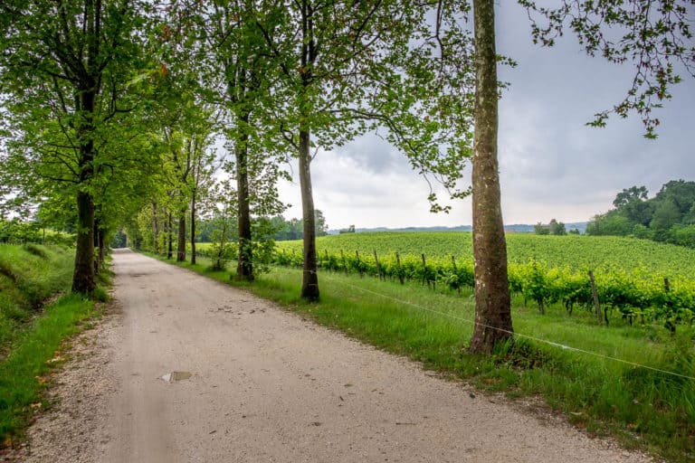 Tag 26 - Alpenüberquerung zu Fuß - München nach Venedig - Von Arfanta nach Spresiano 22 Tag 26 - Alpenüberquerung zu Fuß - München nach Venedig - Von Arfanta nach Spresiano 22