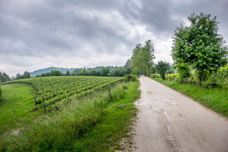 Tag 26 - Alpenüberquerung zu Fuß - München nach Venedig - Von Arfanta nach Spresiano 23 Tag 26 - Alpenüberquerung zu Fuß - München nach Venedig - Von Arfanta nach Spresiano 23