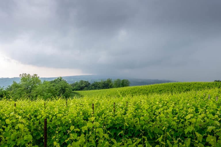 Tag 26 - Alpenüberquerung zu Fuß - München nach Venedig - Von Arfanta nach Spresiano 24 Tag 26 - Alpenüberquerung zu Fuß - München nach Venedig - Von Arfanta nach Spresiano 24