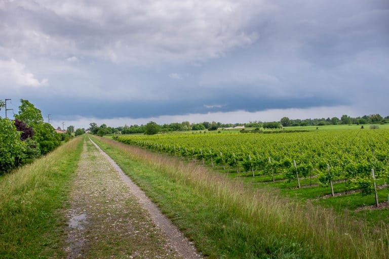 Tag 26 - Alpenüberquerung zu Fuß - München nach Venedig - Von Arfanta nach Spresiano 32 Tag 26 - Alpenüberquerung zu Fuß - München nach Venedig - Von Arfanta nach Spresiano 32