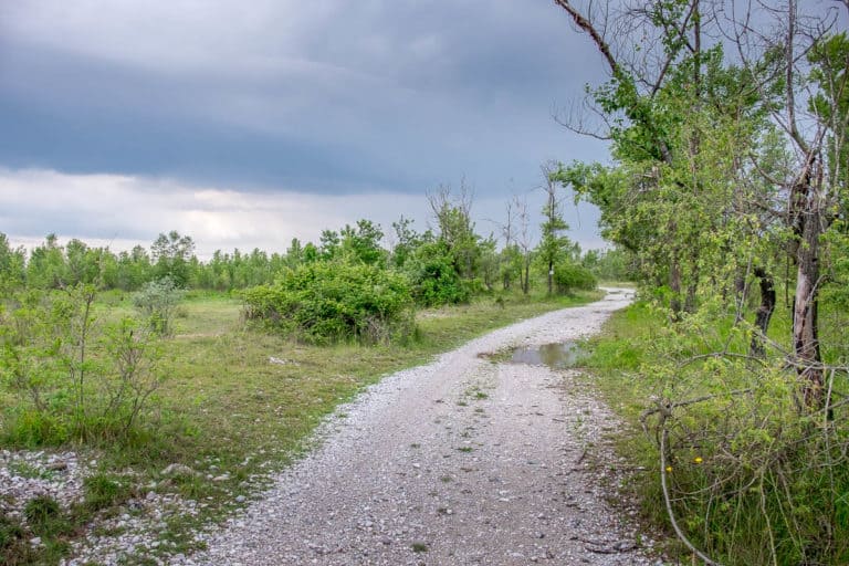 Tag 26 - Alpenüberquerung zu Fuß - München nach Venedig - Von Arfanta nach Spresiano 44 Tag 26 - Alpenüberquerung zu Fuß - München nach Venedig - Von Arfanta nach Spresiano 44