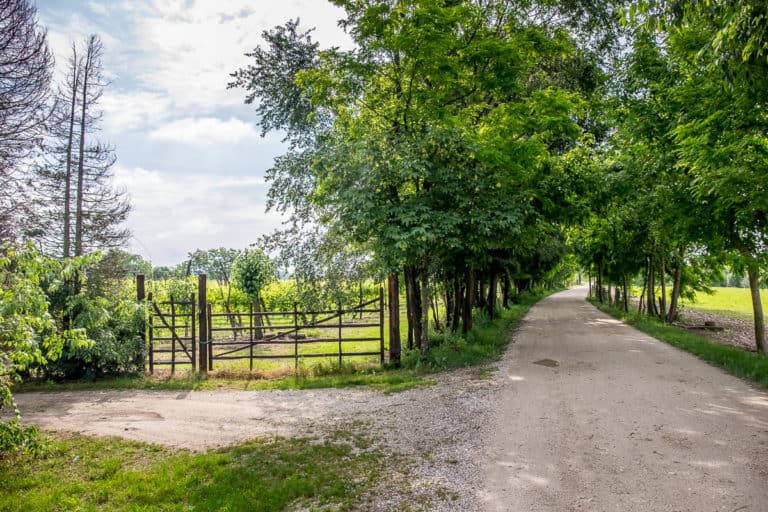Tag 27 - Alpenüberquerung zu Fuß - München nach Venedig - Von Spresiano nach San Bartolomeo 6 Tag 27 - Alpenüberquerung zu Fuß - München nach Venedig - Von Spresiano nach San Bartolomeo 6