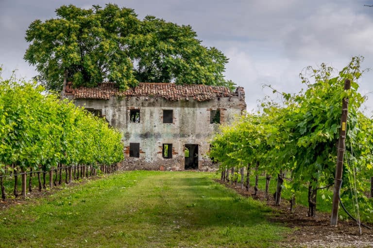 Tag 27 - Alpenüberquerung zu Fuß - München nach Venedig - Von Spresiano nach San Bartolomeo 9 Tag 27 - Alpenüberquerung zu Fuß - München nach Venedig - Von Spresiano nach San Bartolomeo 8