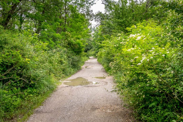 Tag 27 - Alpenüberquerung zu Fuß - München nach Venedig - Von Spresiano nach San Bartolomeo 13 Tag 27 - Alpenüberquerung zu Fuß - München nach Venedig - Von Spresiano nach San Bartolomeo 12