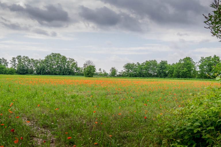 Tag 27 - Alpenüberquerung zu Fuß - München nach Venedig - Von Spresiano nach San Bartolomeo 14 Tag 27 - Alpenüberquerung zu Fuß - München nach Venedig - Von Spresiano nach San Bartolomeo 13