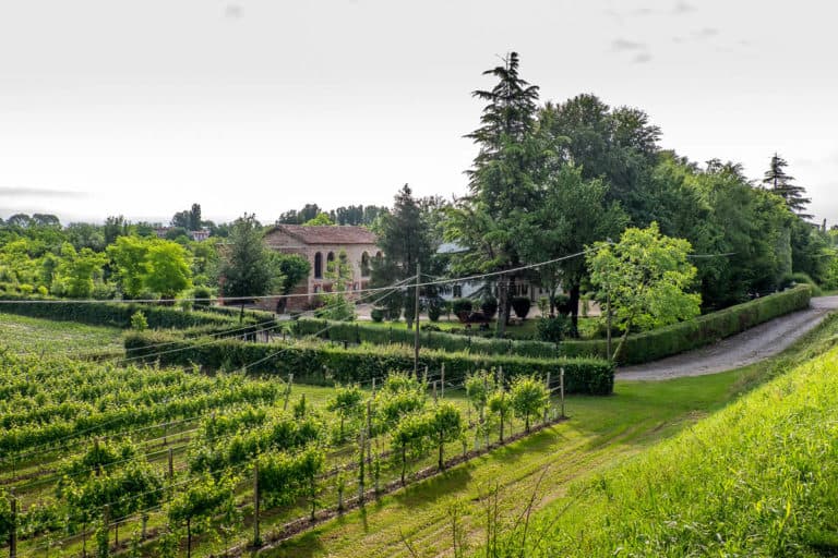 Tag 28 - Alpenüberquerung zu Fuß - München nach Venedig - Von San Bartolomeo nach Jesolo 8