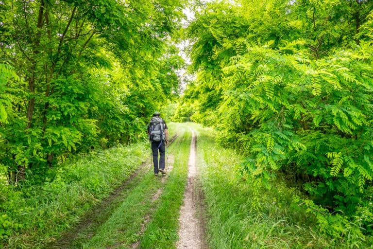 Tag 28 - Alpenüberquerung zu Fuß - München nach Venedig - Von San Bartolomeo nach Jesolo 22