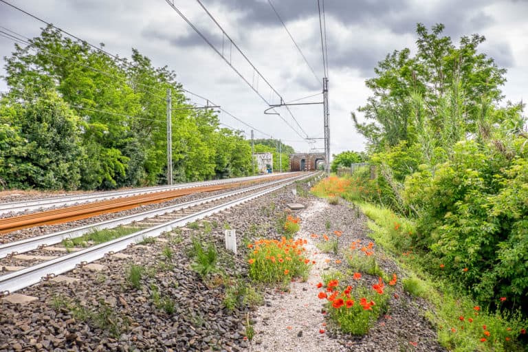 Tag 28 - Alpenüberquerung zu Fuß - München nach Venedig - Von San Bartolomeo nach Jesolo 24