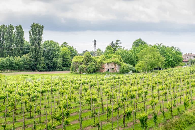 Tag 28 - Alpenüberquerung zu Fuß - München nach Venedig - Von San Bartolomeo nach Jesolo 25