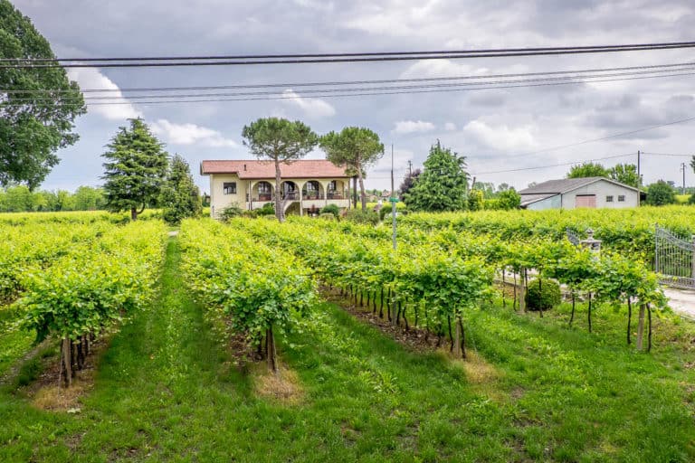 Tag 28 - Alpenüberquerung zu Fuß - München nach Venedig - Von San Bartolomeo nach Jesolo 31