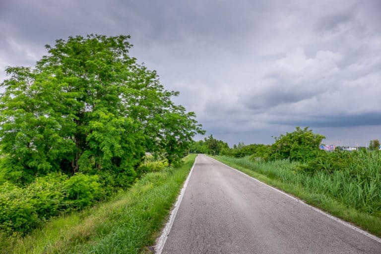 Tag 28 - Alpenüberquerung zu Fuß - München nach Venedig - Von San Bartolomeo nach Jesolo 41