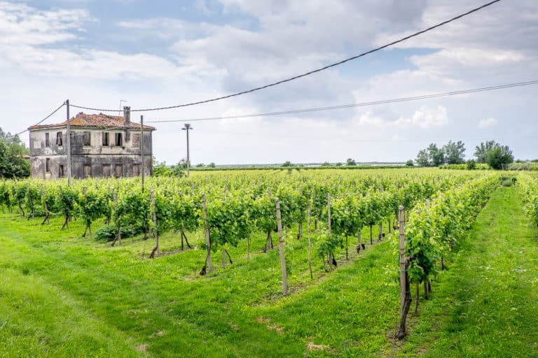 Tag 28 - Alpenüberquerung zu Fuß - München nach Venedig - Von San Bartolomeo nach Jesolo 46