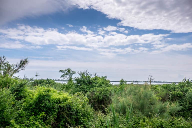 Tag 28 - Alpenüberquerung zu Fuß - München nach Venedig - Von San Bartolomeo nach Jesolo 47