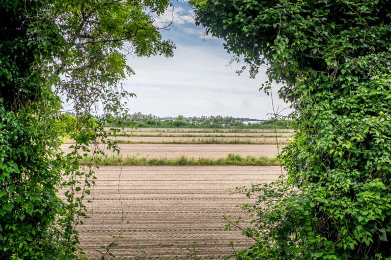 Tag 28 - Alpenüberquerung zu Fuß - München nach Venedig - Von San Bartolomeo nach Jesolo 49