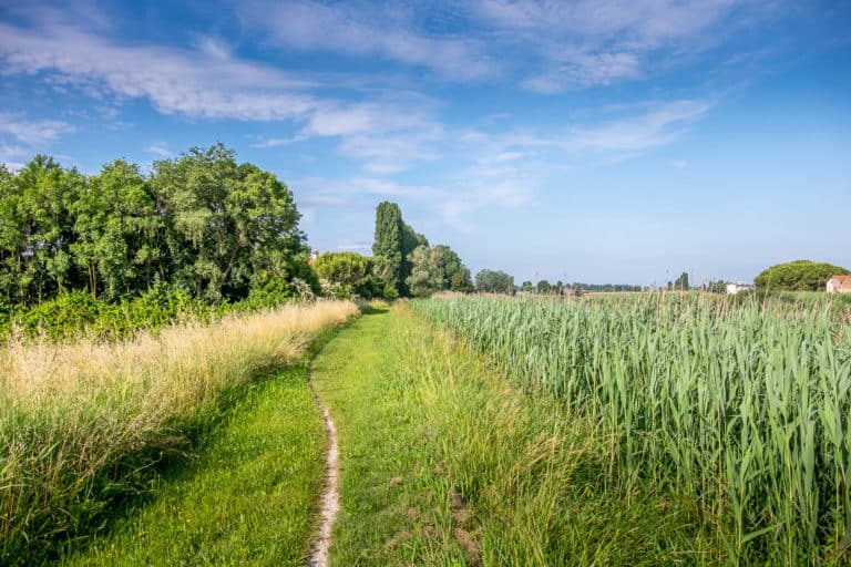 Finaltag - Alpenüberquerung zu Fuß - München nach Venedig - Jesolo nach Vendig 7