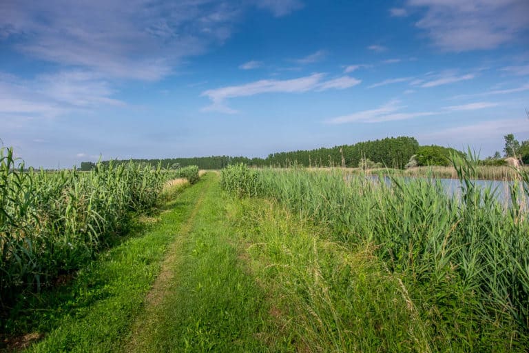 Finaltag - Alpenüberquerung zu Fuß - München nach Venedig - Jesolo nach Vendig 10
