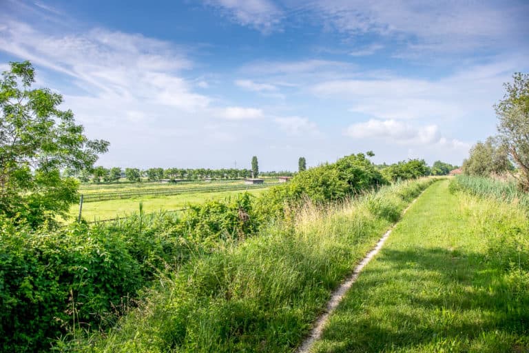 Finaltag - Alpenüberquerung zu Fuß - München nach Venedig - Jesolo nach Vendig 12