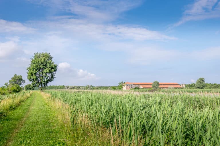 Finaltag - Alpenüberquerung zu Fuß - München nach Venedig - Jesolo nach Vendig 14