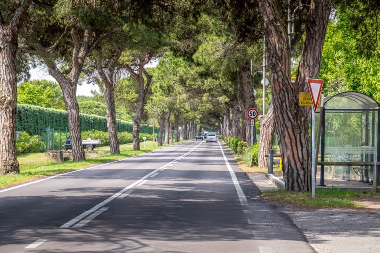 Finaltag - Alpenüberquerung zu Fuß - München nach Venedig - Jesolo nach Vendig 28