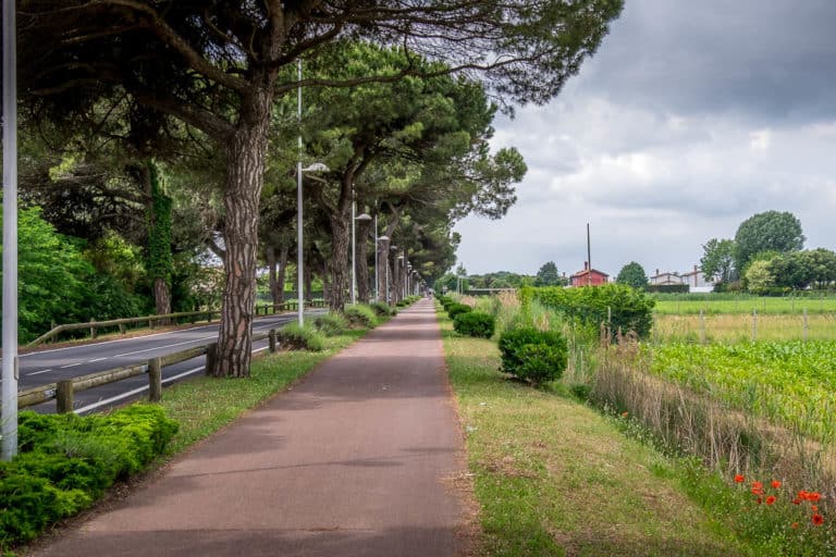 Finaltag - Alpenüberquerung zu Fuß - München nach Venedig - Jesolo nach Vendig 30