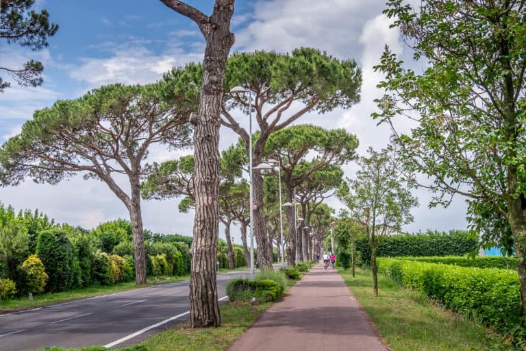 Finaltag - Alpenüberquerung zu Fuß - München nach Venedig - Jesolo nach Vendig 33