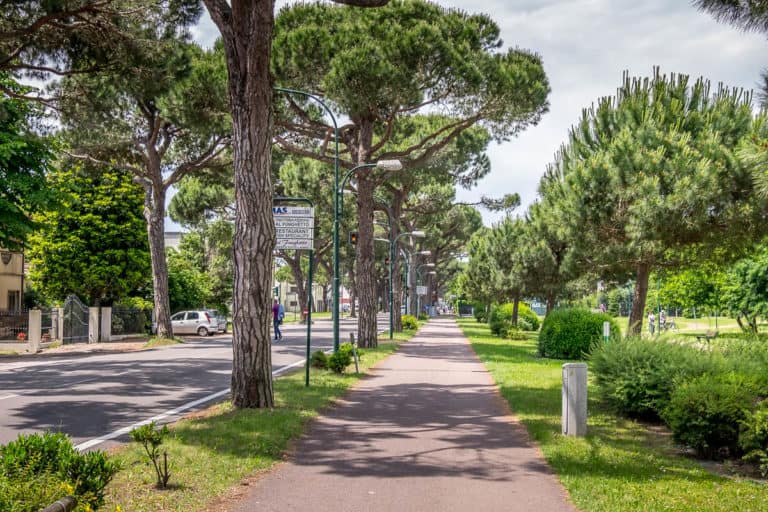 Finaltag - Alpenüberquerung zu Fuß - München nach Venedig - Jesolo nach Vendig 35