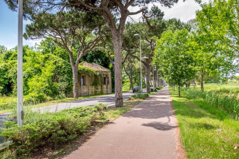 Finaltag - Alpenüberquerung zu Fuß - München nach Venedig - Jesolo nach Vendig 39